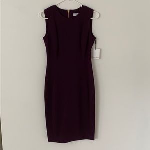 Calvin Klein Size 4 Plum Dress